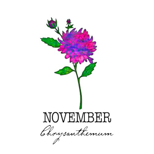 Birth Month Flower November Chrysanthemum T_Shirt