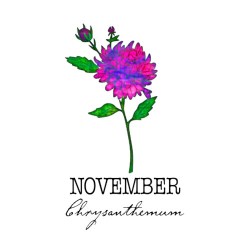 Birth Month Flower November Chrysanthemum Throw Pillow