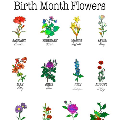 Birth Month Flowers All 12 months T_Shirt
