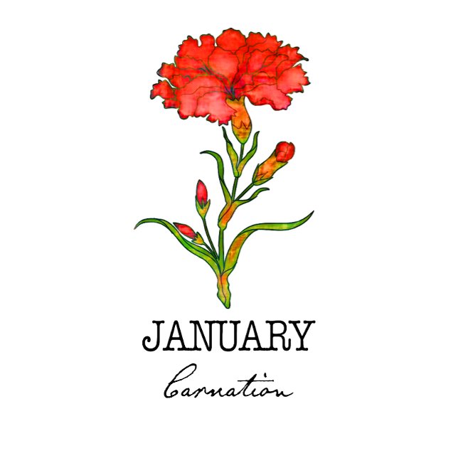 Birth Month January Flower Carnation Hoodie (Creator Uploaded)