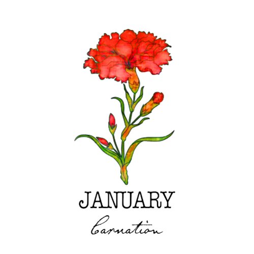 Birth Month January Flower Carnation Hoodie