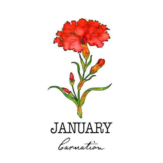Birth Month January Flower Carnation Hoodie (Creator Uploaded)