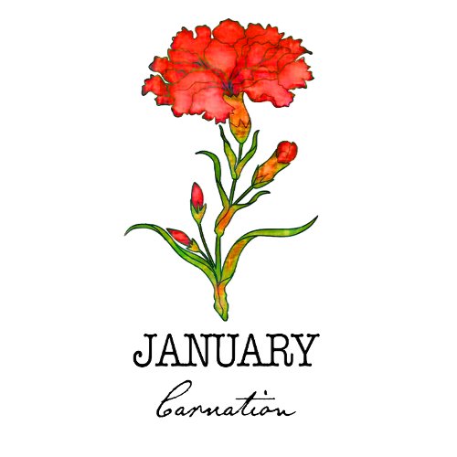 Birth Month January  T_Shirt