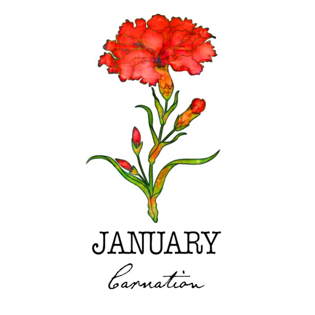 Birth Month January  T-Shirt (Creator Uploaded)