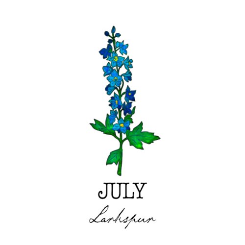 Birth Month July Larkspur Flower T_Shirt