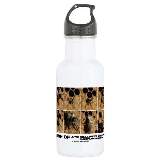 Birth Of European Dark Bee (Honey Bee) Water Bottle