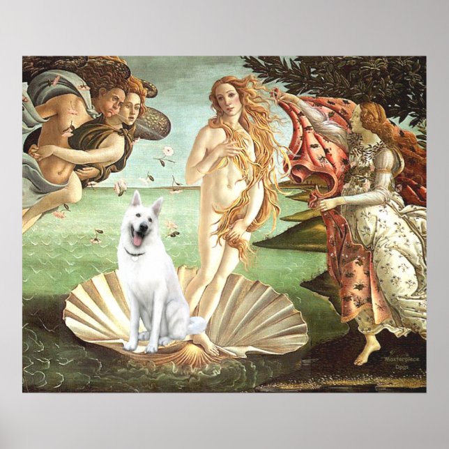 Birth of Venus-White German Shepherd Poster (Front)