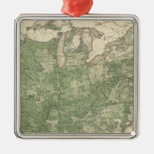 Birth Rate US, Statistical US Lithograph Metal Ornament