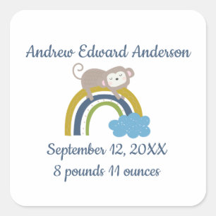 Birth Stats Rainbow Sleeping Animal Baby Square St Sticker