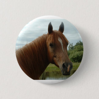 Birthday 012 pinback button