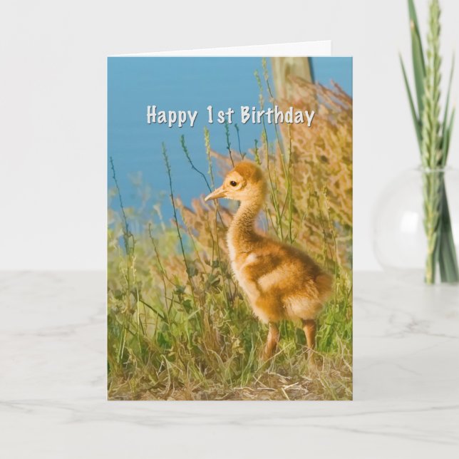 Birthday, 1st, Baby Sandhill Crane Card (Front)