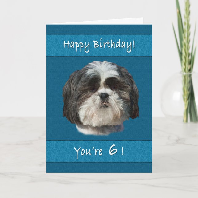 Birthday, 6th, Shih Tzu Dog Card (Front)