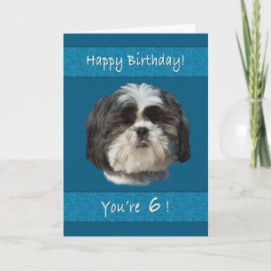 Birthday, 6th, Shih Tzu Dog Card