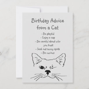 Birthday Advice from Winking Cat Fun Animal Humor