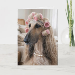 Birthday Afghan Hound Wearing Pink Sponge Curlers Card