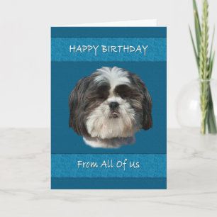 Birthday, All of Us , Shih Tzu Dog Card
