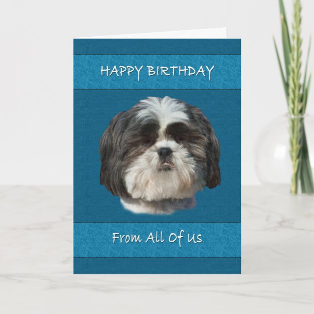 Shih Tzu Dog Birthday Personalised Greeting Card FV215 Mum Dad Husband Wife 