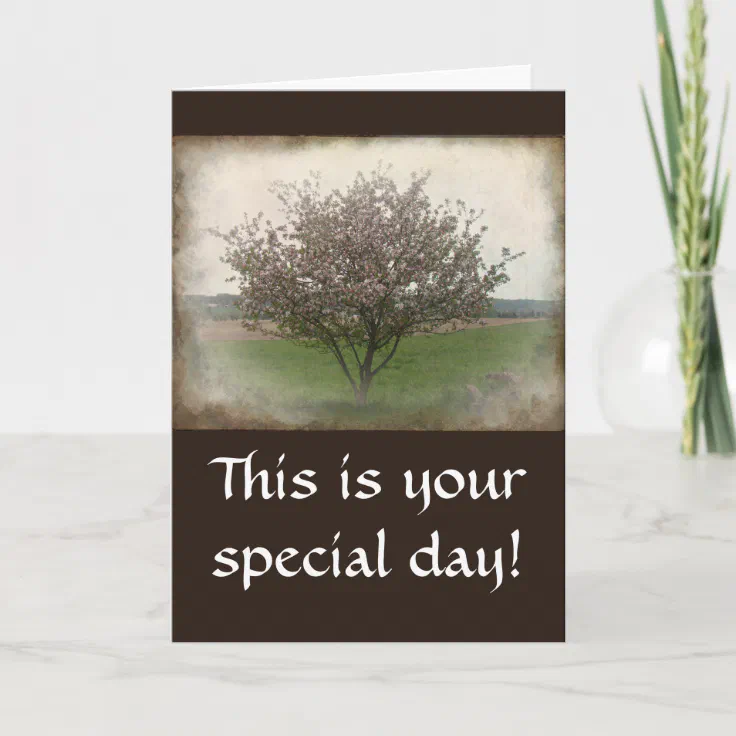 Birthday Apple Tree in Bloom Card | Zazzle