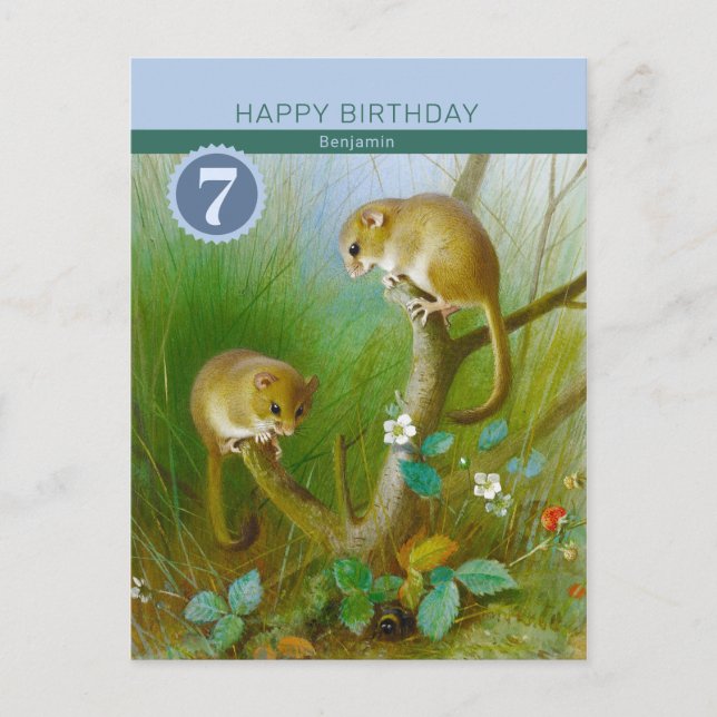 Birthday Archibald Thorburn Cute dormice CC0185 Postcard (Front)