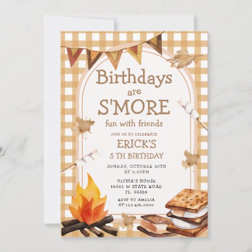  Birthday are Smores Fun Campfire Gingham Invitation