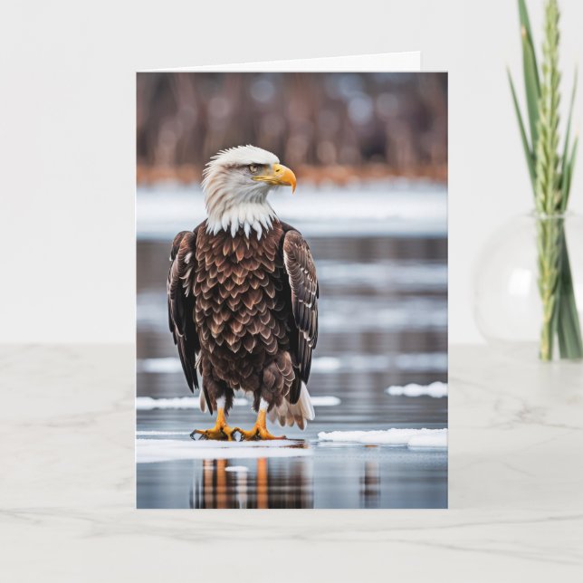Birthday Bald Eagle On Ice Card (Front)
