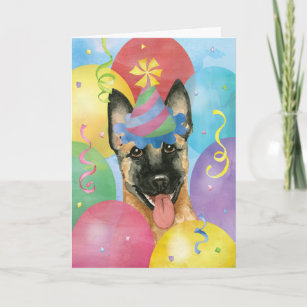 Belgian Malinois Birthday Cards Zazzle