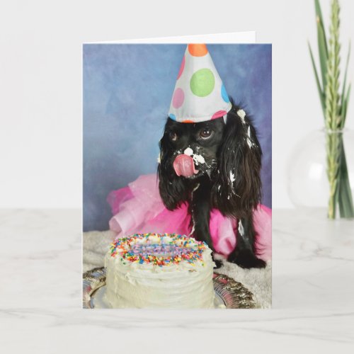 Birthday Bash Card