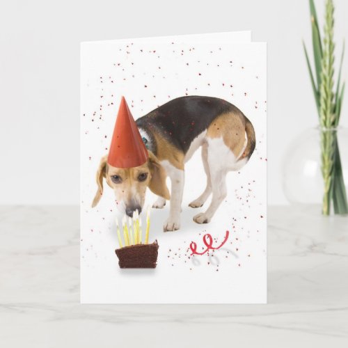 Birthday Beagle Card
