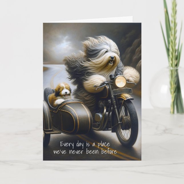 Birthday Bearded Collies On Motorcyle Card (Front)