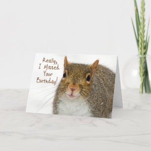 Birthday, Belated, Squirrel Surprised Card
