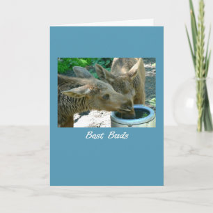 Birthday Best Buds BFF Two Elk Calves Friends Card