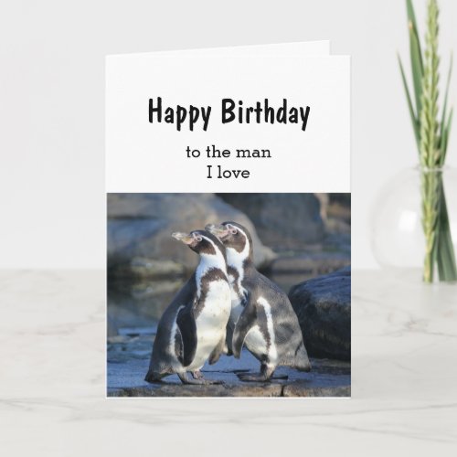 Birthday Bird Couple Man I love Card