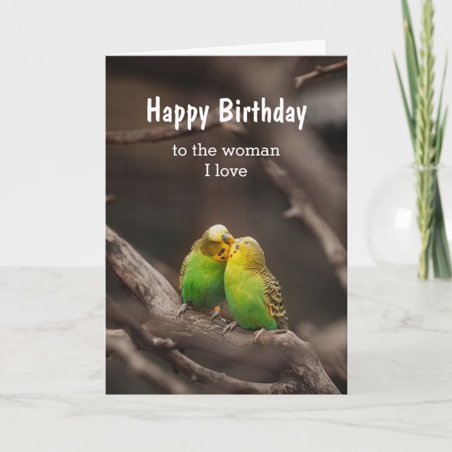 Birthday Bird Cuddling Budgies Parakeet woman love Card (Front)