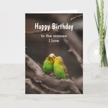 Birthday Bird Cuddling Budgies Parakeet Woman Love Card by countrymousestudio at Zazzle