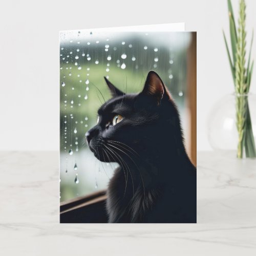 Birthday Black Cat In Rainy Window Card