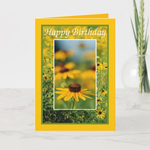 Birthday _ Black_Eyed Susans Greeting Card