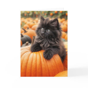 Birthday Black Kitten On Orange Pumpkin Card