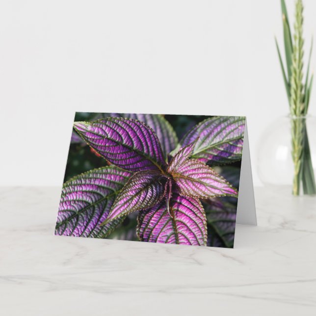 Birthday blessing photo card (Front)