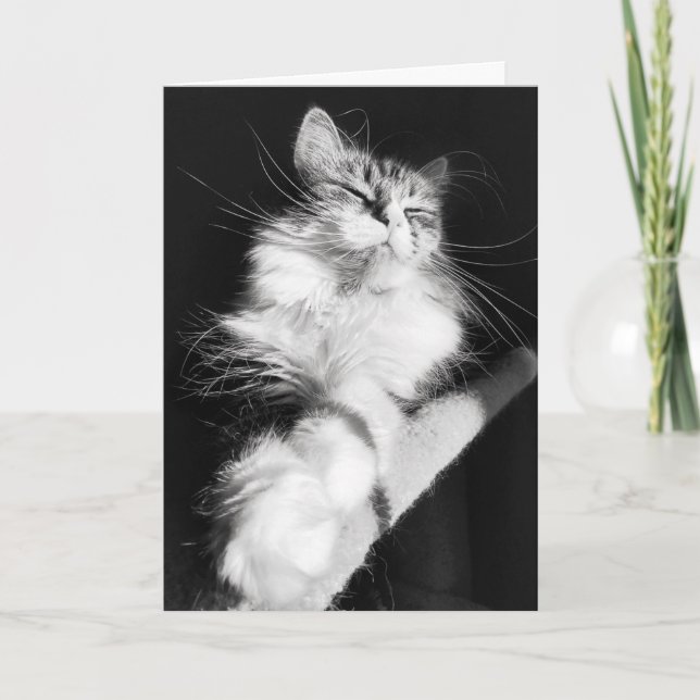 Birthday Bliss Card (Front)