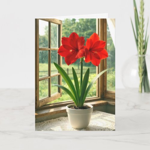 Birthday Blooming Red Amaryllis  Card