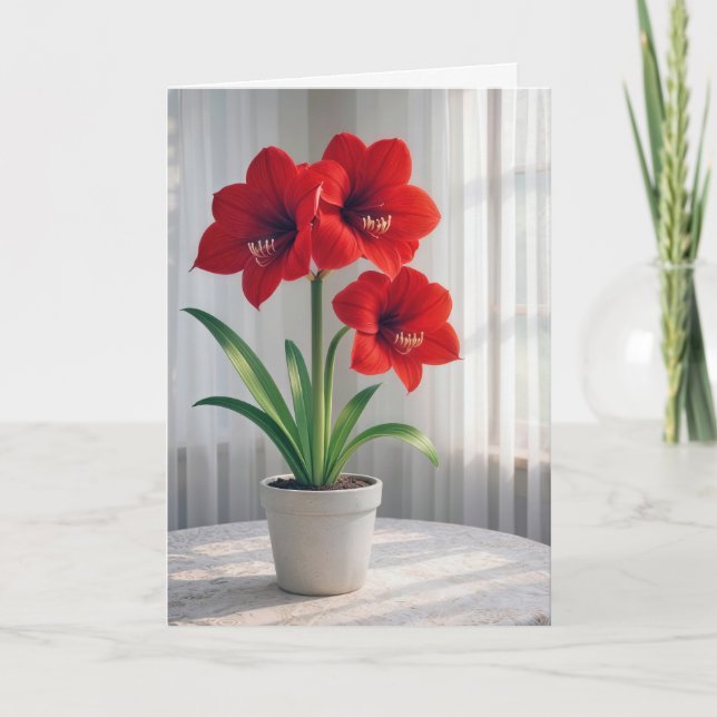 Birthday Blooming Red Amaryllis  Card (Front)