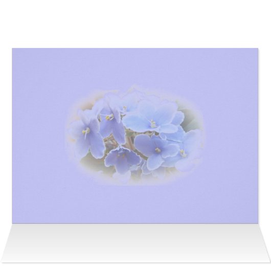 Birthday Blue African Violets (Inside Horizontal (Top))