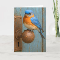 Birthday Bluebird On a Rusty Doorknob