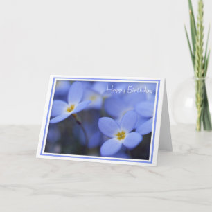 Birthday - Bluettes Greeting Card