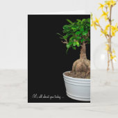birthday bonsai tree in flower pot card | Zazzle
