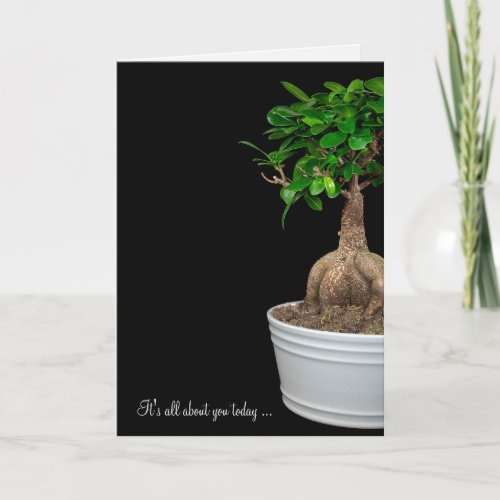 birthday bonsai tree in flower pot card