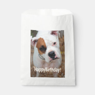 Birthday Boop Favor Bag