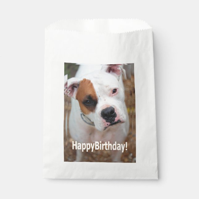 Birthday Boop  Favor Bag (Front)