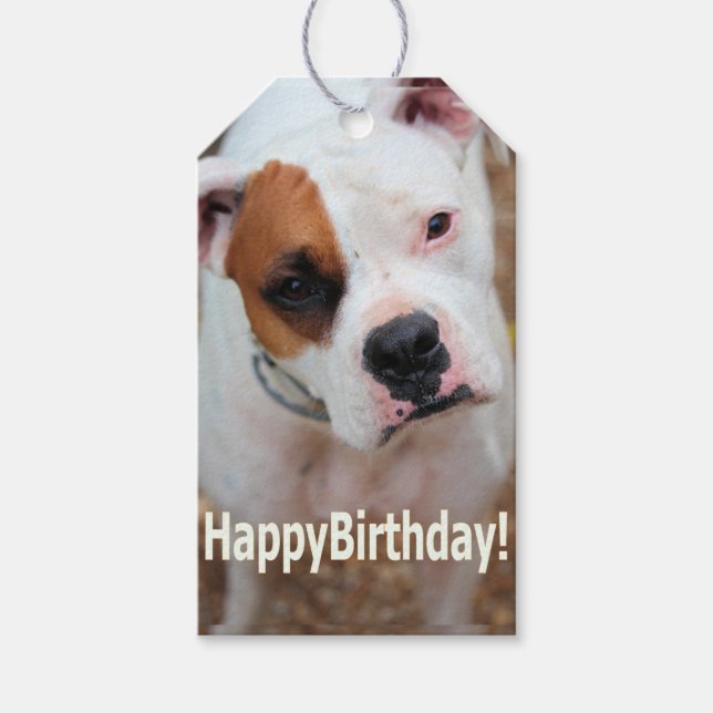 Birthday Boop Gift Tags (Front)