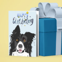 Birthday Border Collie Dog Animal